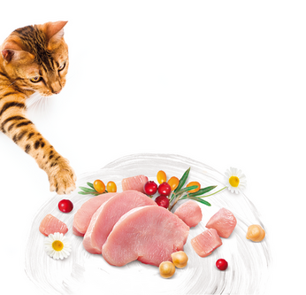 Brit_Care_Cat_Grain-Free_Adult_Activity_Support_2
